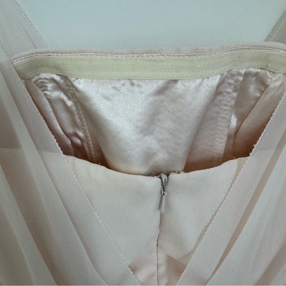 Adrianna Papell Champagne Yvory Blush Crepe Dress - Picture 10 of 12